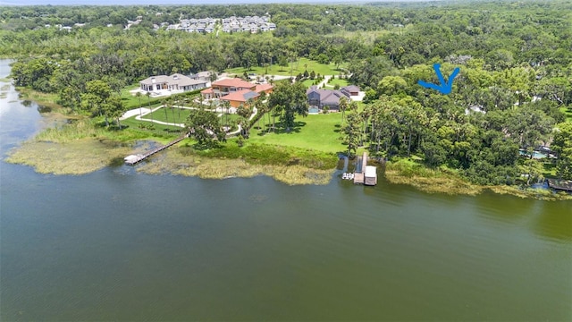 1310 Natureland Ct, Mount Dora, FL 32757 - photo 48