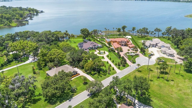 1310 Natureland Ct, Mount Dora, FL 32757 - photo 49