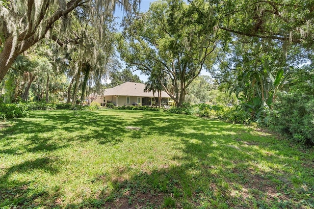 1310 Natureland Ct, Mount Dora, FL 32757 - photo 50