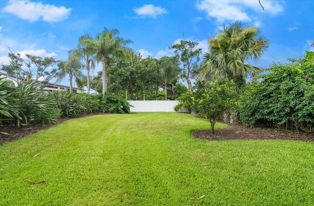 113 Neptune Ave, Ormond Beach, FL 32176 - view of yard