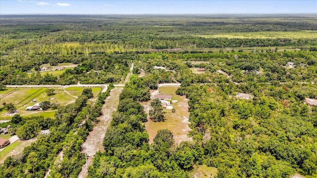 1699 Cypress Ave, Orange City, FL 32763 - photo 24