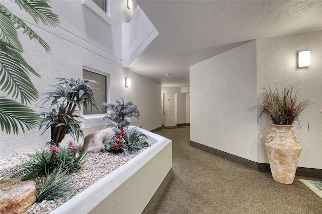 1 John Anderson Dr Unit 1030, Ormond Beach, FL 32176 - hall featuring a textured wall, a textured ceiling, and carpet