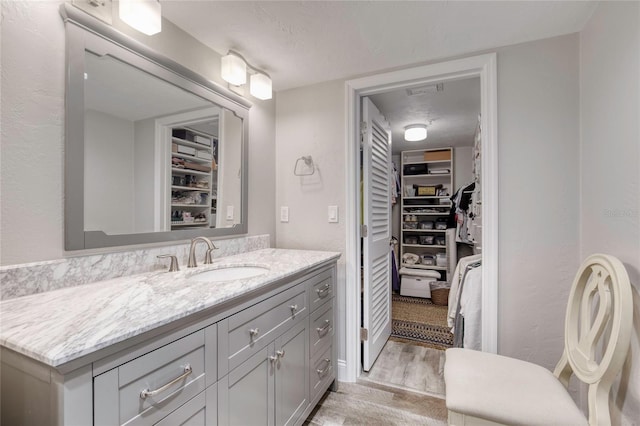 1 John Anderson Dr Unit 1030, Ormond Beach, FL 32176 - bathroom with vanity, wood finished floors, and a walk in closet