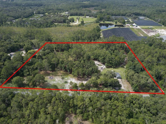 1135 Peterson Rd, Pierson, FL 32180 - photo 3