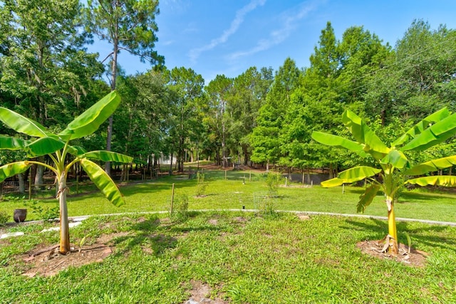 1135 Peterson Rd, Pierson, FL 32180 - photo 27