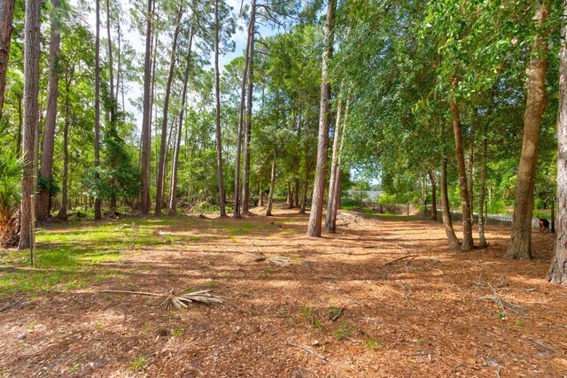 1135 Peterson Rd, Pierson, FL 32180 - photo 47