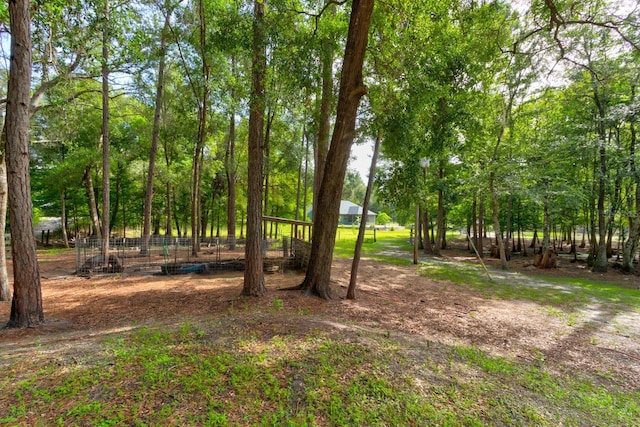1135 Peterson Rd, Pierson, FL 32180 - photo 48