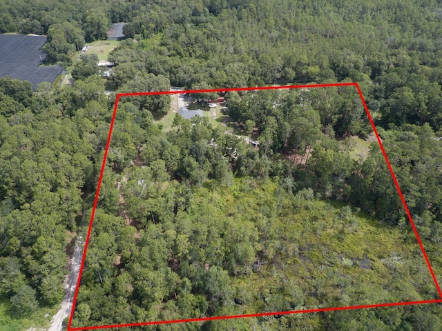 1135 Peterson Rd, Pierson, FL 32180 - photo 50
