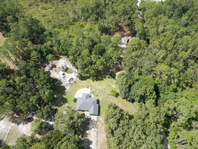 1135 Peterson Rd, Pierson, FL 32180 - photo 51