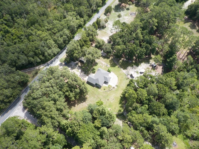1135 Peterson Rd, Pierson, FL 32180 - photo 52