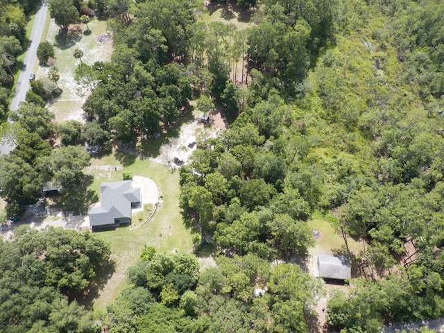 1135 Peterson Rd, Pierson, FL 32180 - photo 53