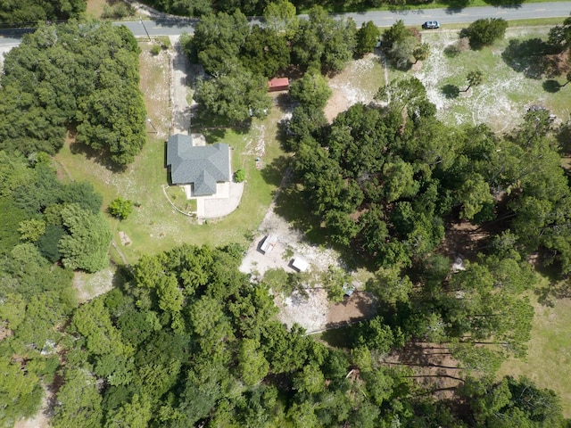 1135 Peterson Rd, Pierson, FL 32180 - photo 54