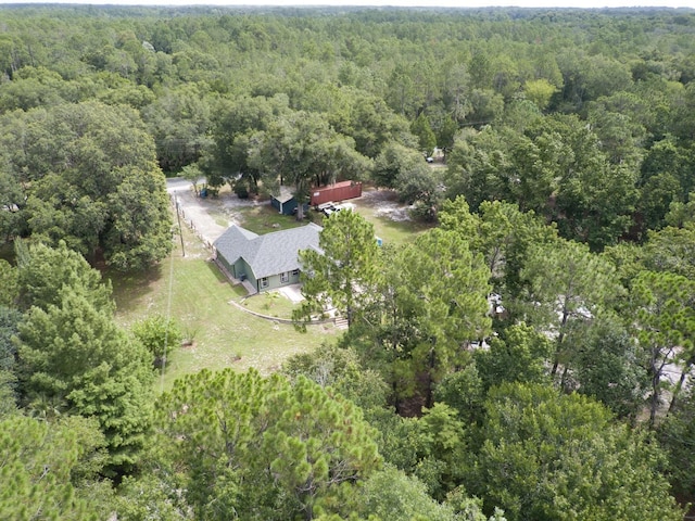 1135 Peterson Rd, Pierson, FL 32180 - photo 55
