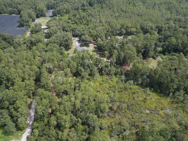 1135 Peterson Rd, Pierson, FL 32180 - photo 56