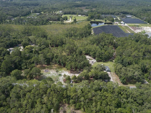 1135 Peterson Rd, Pierson, FL 32180 - photo 57