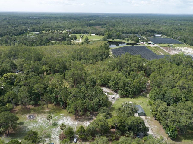 1135 Peterson Rd, Pierson, FL 32180 - photo 58