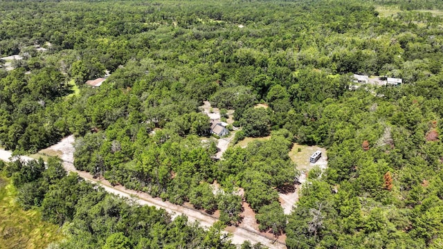 750 Tabatha Dr, Osteen, FL 32764 - photo 38