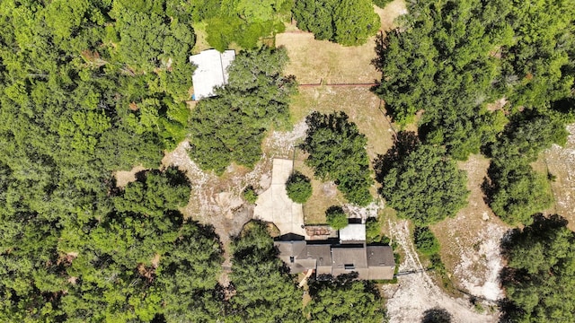 750 Tabatha Dr, Osteen, FL 32764 - photo 39