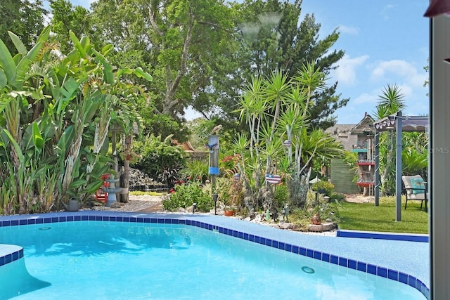 1366 Valhalla St, Deltona, FL 32725 - view of outdoor pool