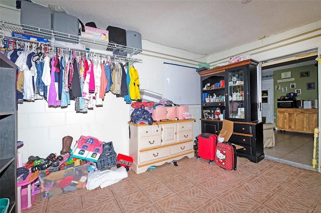 4831 Cypress Tree Dr, Tampa, FL 33624 - view of spacious closet