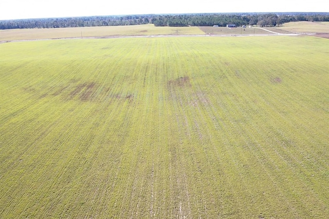 NW 72nd Pl, Bell, FL 32619 - photo 1