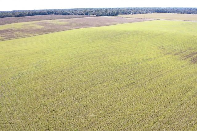 NW 72nd Pl, Bell, FL 32619 - photo 2