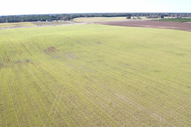 NW 72nd Pl, Bell, FL 32619 - photo 3