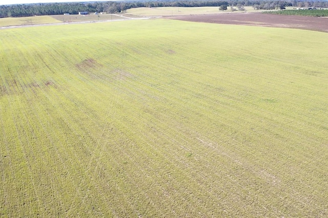 NW 72nd Pl, Bell, FL 32619 - photo 4