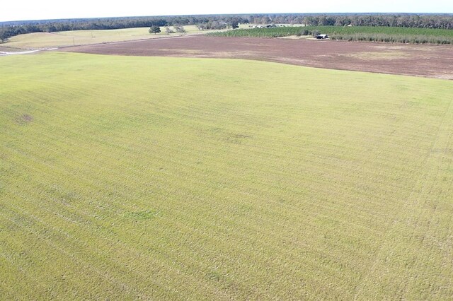 NW 72nd Pl, Bell, FL 32619 - photo 10