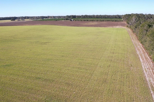 NW 72nd Pl, Bell, FL 32619 - photo 11