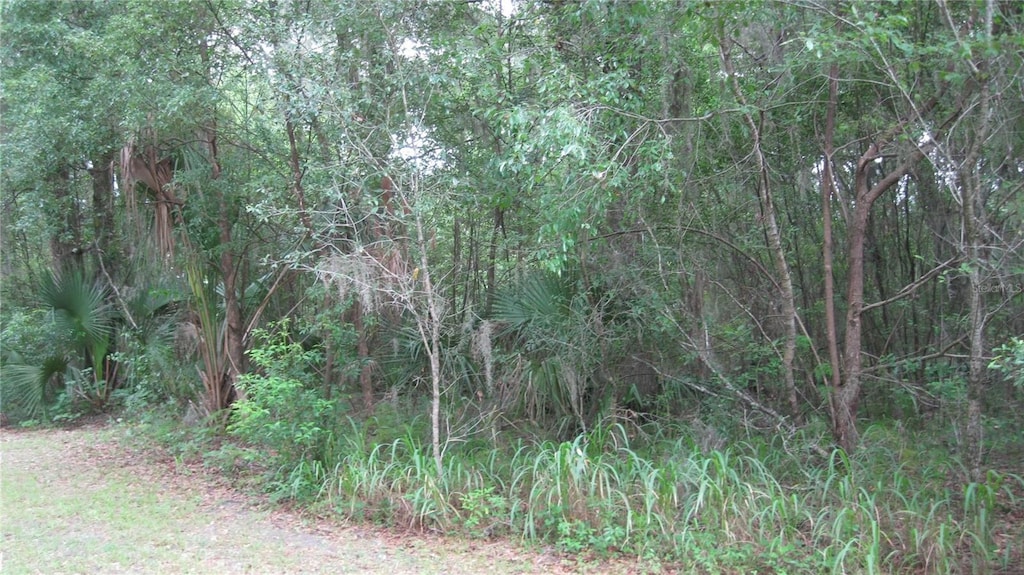 Oak Valley Dr, Deland, FL 32720 - photo 1