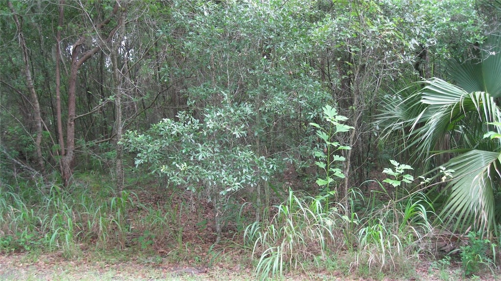 Oak Valley Dr, Deland, FL 32720 - photo 2