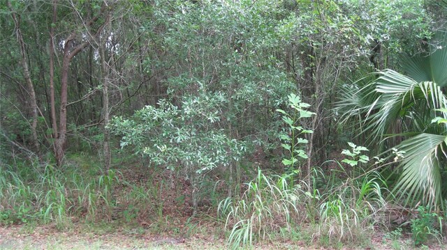 Oak Valley Dr, Deland, FL 32720 - photo 2