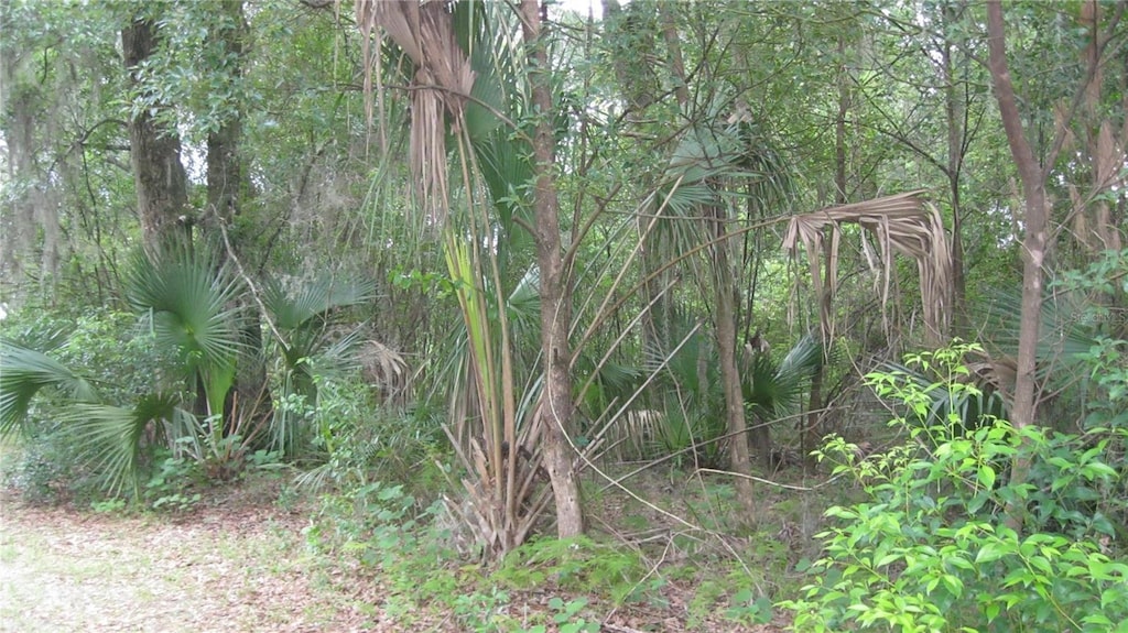 Oak Valley Dr, Deland, FL 32720 - photo 3