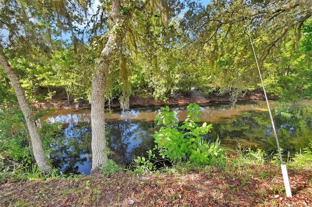 22040 Blue Creek Lodge Rd, Astor, FL 32102 - photo 2