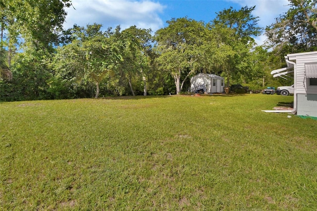 22040 Blue Creek Lodge Rd, Astor, FL 32102 - photo 4