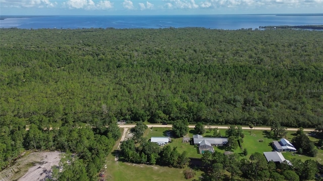 22040 Blue Creek Lodge Rd, Astor, FL 32102 - photo 38