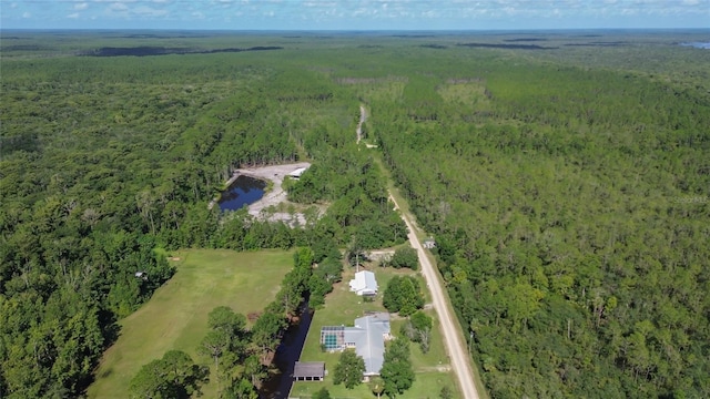 22040 Blue Creek Lodge Rd, Astor, FL 32102 - photo 39