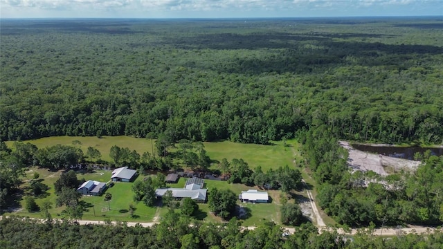 22040 Blue Creek Lodge Rd, Astor, FL 32102 - photo 40