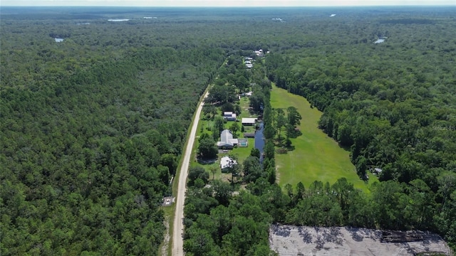22040 Blue Creek Lodge Rd, Astor, FL 32102 - photo 41