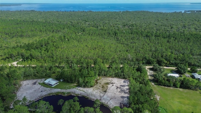 22040 Blue Creek Lodge Rd, Astor, FL 32102 - photo 42