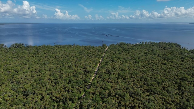 22040 Blue Creek Lodge Rd, Astor, FL 32102 - photo 43