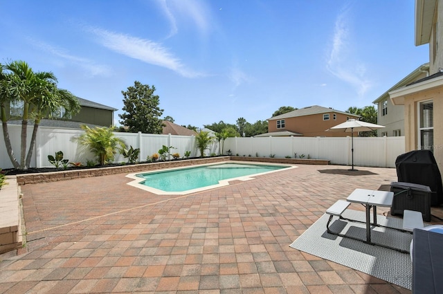 3842 Calliope Ave, Port Orange, FL 32129 - view of pool featuring a patio area, a fenced backyard, and grilling area