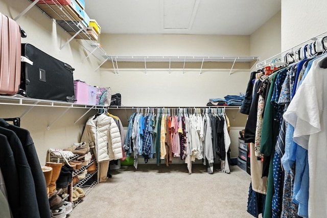 3842 Calliope Ave, Port Orange, FL 32129 - walk in closet with carpet and attic access
