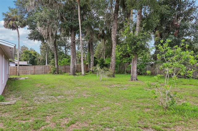 330 Ponce Deleon Blvd, De Leon Springs, FL 32130 - view of fenced backyard