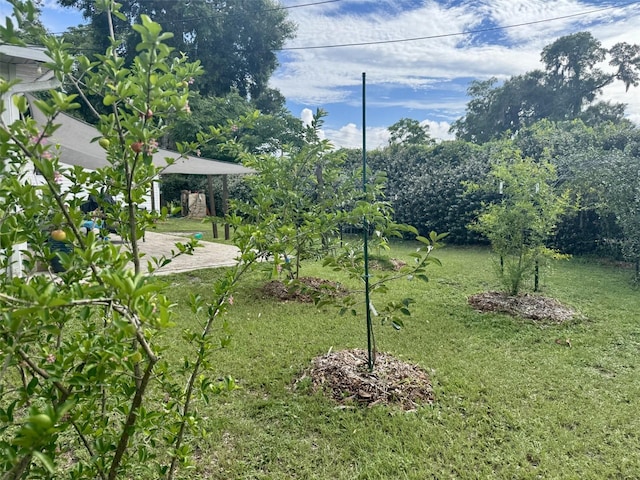 503 E Minnesota Ave, Deland, FL 32724 - photo 29