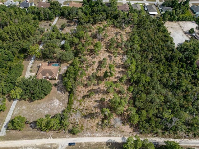 3255 Red Fox Dr, Deltona, FL 32725 - photo 2