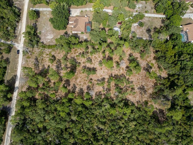 3255 Red Fox Dr, Deltona, FL 32725 - photo 10
