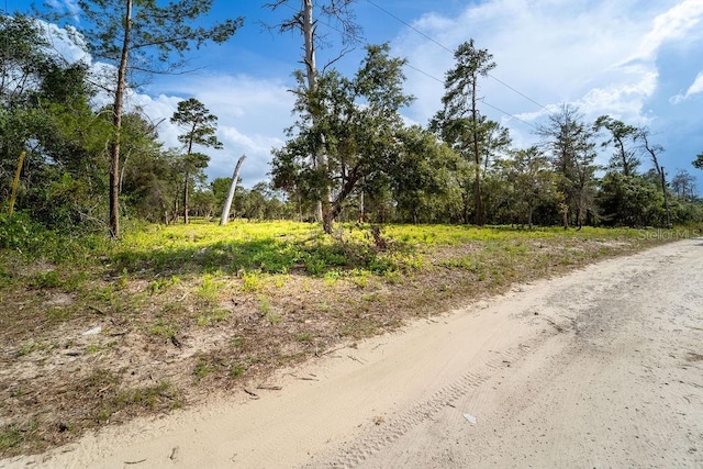3255 Red Fox Dr, Deltona, FL 32725 - photo 11