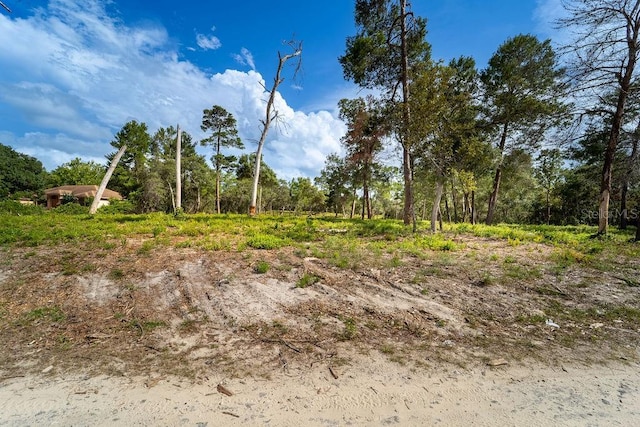 3255 Red Fox Dr, Deltona, FL 32725 - photo 12
